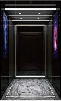 Machine Room Optional Car 630kg Passenger Elevator