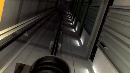 Dsk Elevator Safe Car Elevator Freight Elevator Goods Elevator with Machine Room Cargo Elevator